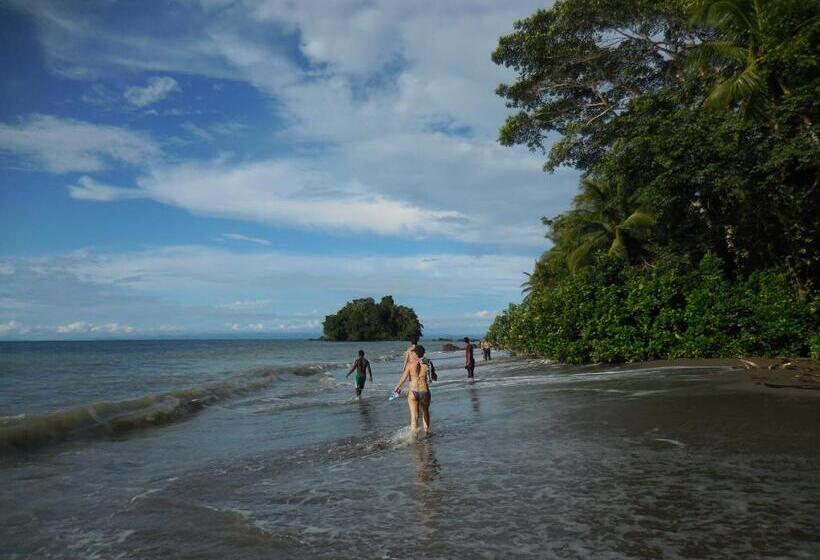 Fotos del hotel Nuquimar:  11