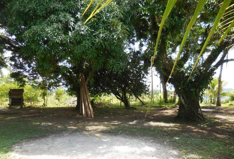 Fotos del hotel Nuquimar:  9