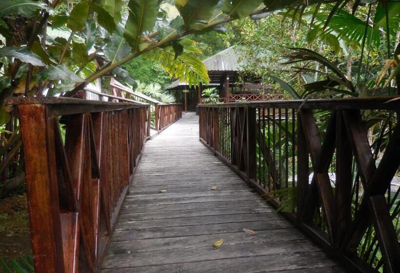 Fotos del hotel Nuquimar:  6