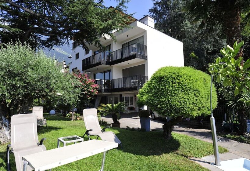 Fotos del hotel Jasmin:  19