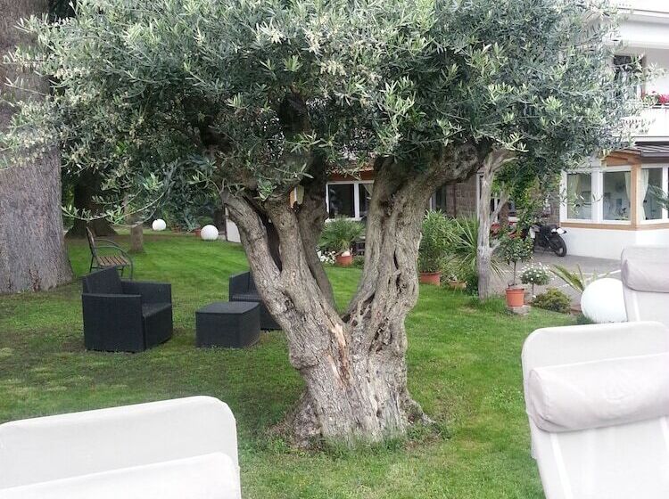 Fotos del hotel Jasmin:  17