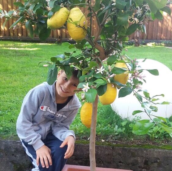 Fotos del hotel Jasmin:  24