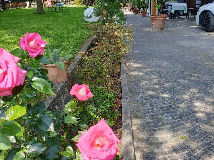 Fotos del hotel Jasmin:  4