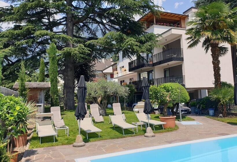 Fotos del hotel Jasmin:  23