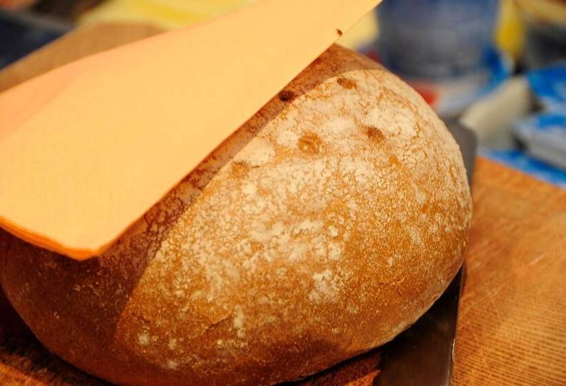 Fotos del hotel Jasmin:  8