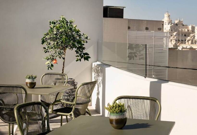 Fotos del hotel Palacio Santa Clara, Autograph Collection:  23