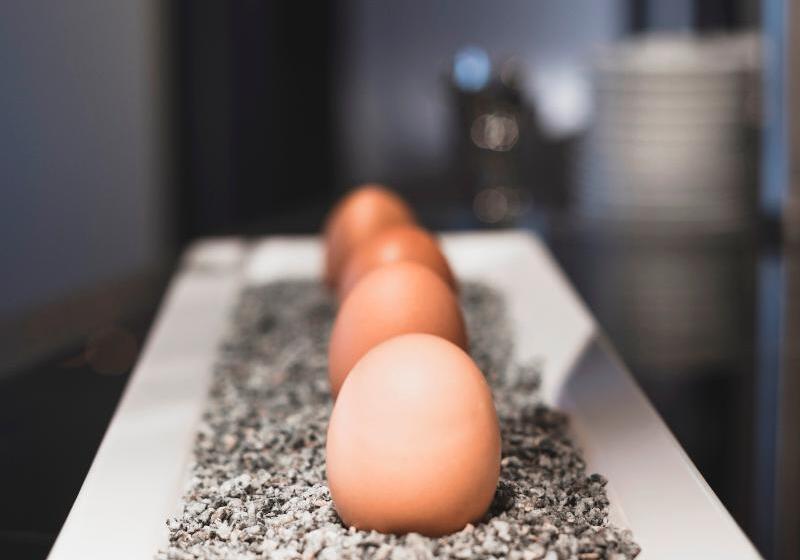 Fotos del hotel Amedia Airport Graz:  16