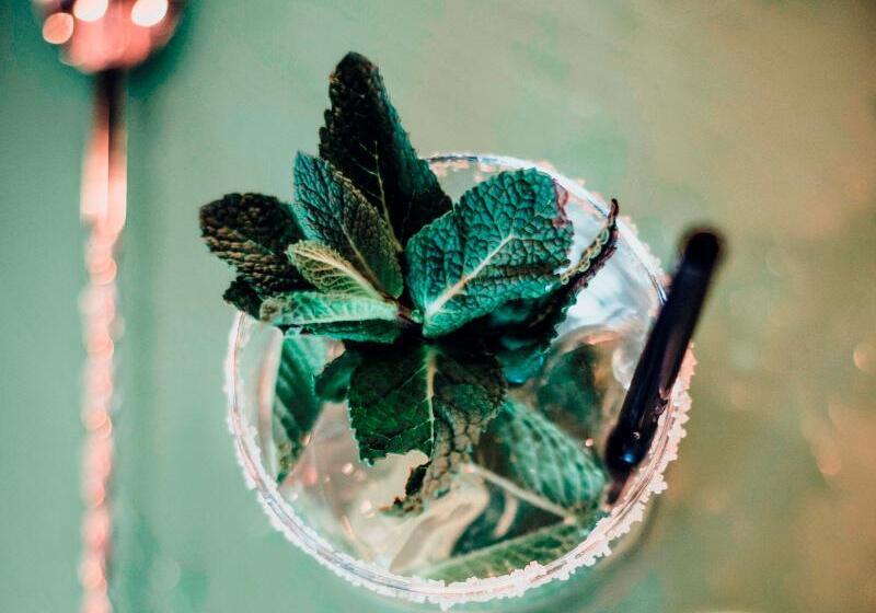 Fotos del hotel Amedia Airport Graz:  8