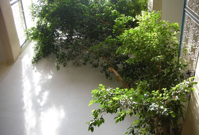 Fotos del hotel Dar Raha:  9