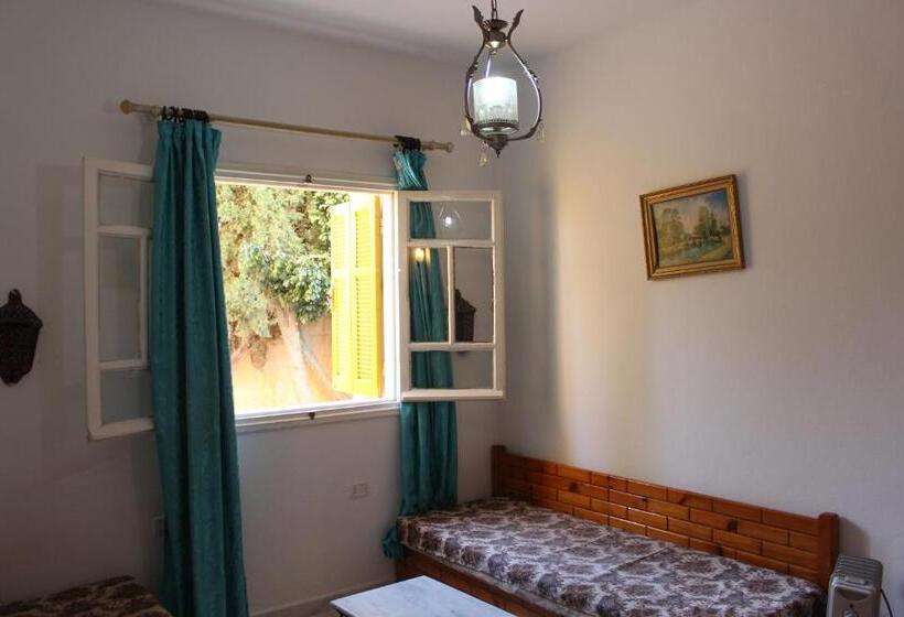 Fotos del hotel Donia:  4