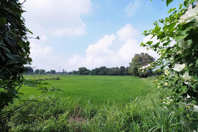 Fotos del hotel Sweet Inn Resort:  2