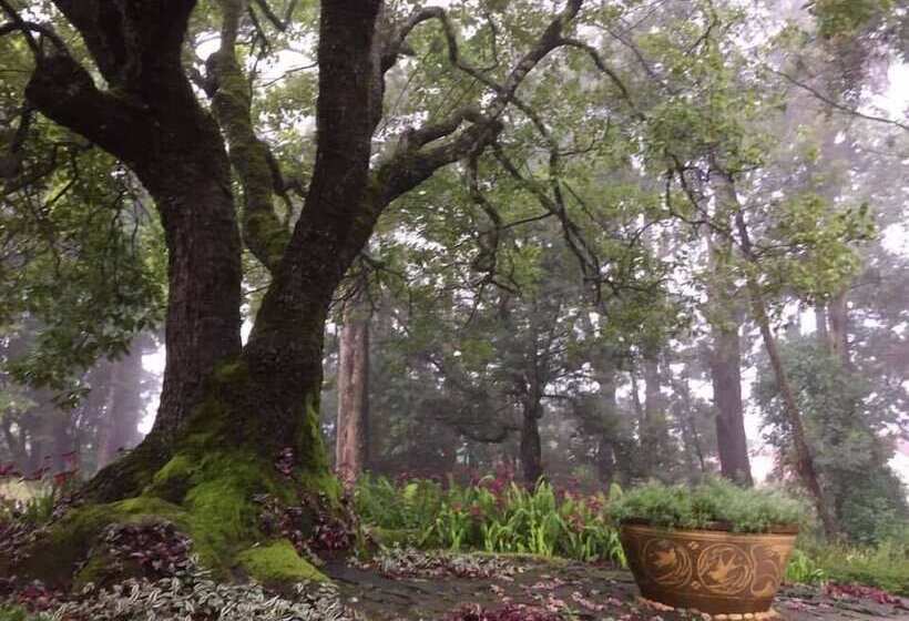 Fotos del hotel Ferncliff Bungalow:  3