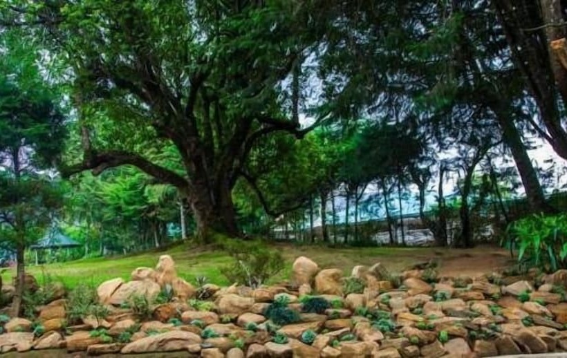 Fotos del hotel Ferncliff Bungalow:  5