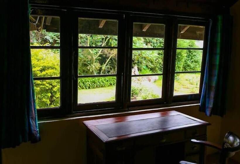 Fotos del hotel Ferncliff Bungalow:  6