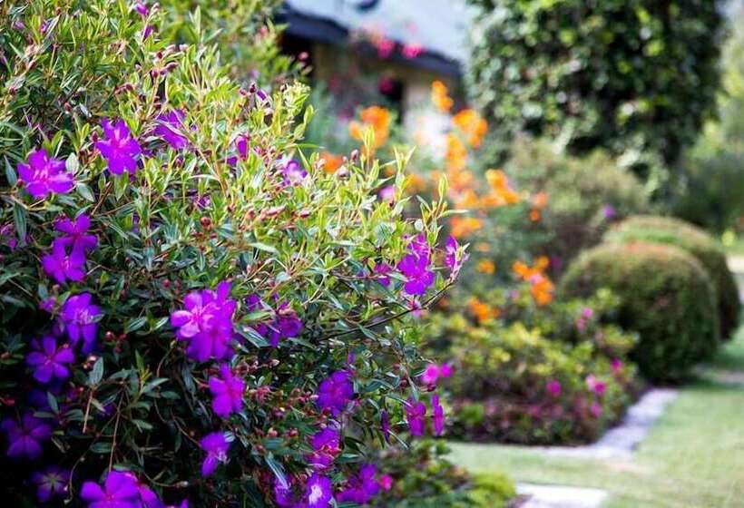 Fotos del hotel Ferncliff Bungalow:  8