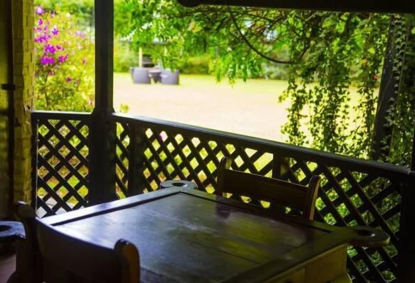 Fotos del hotel Ferncliff Bungalow:  9