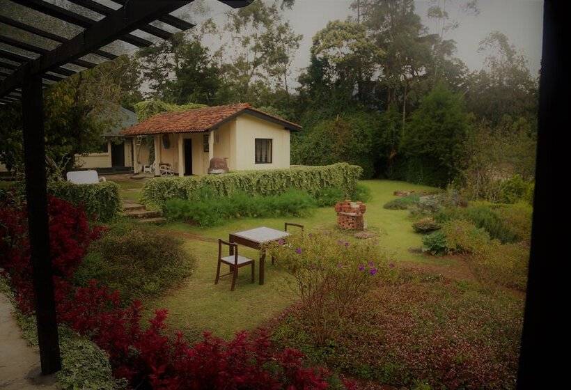 Fotos del hotel Ferncliff Bungalow:  11