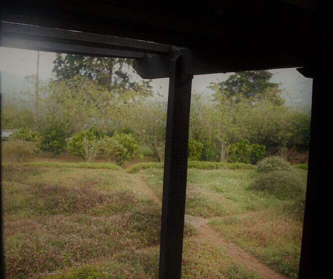 Fotos del hotel Ferncliff Bungalow:  12