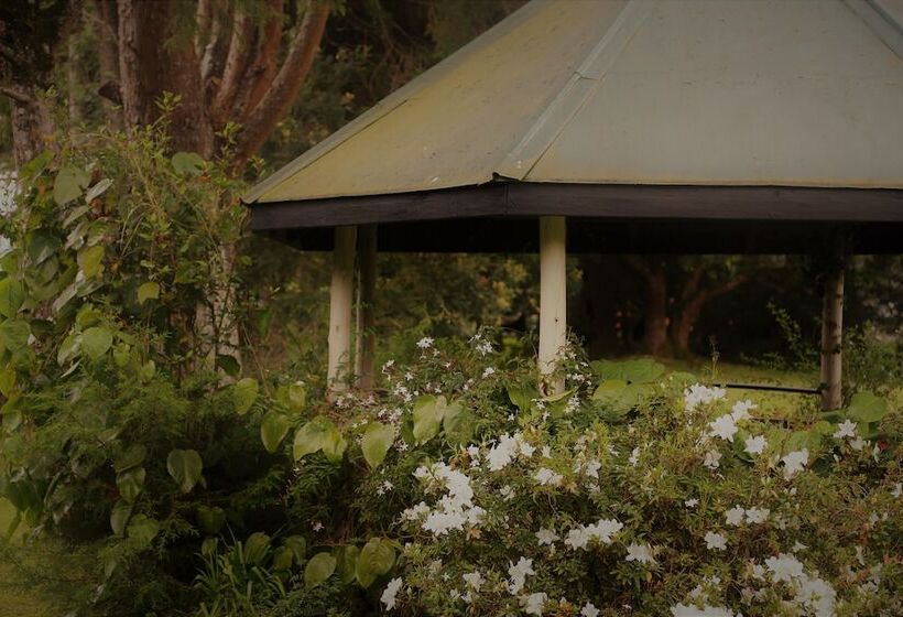 Fotos del hotel Ferncliff Bungalow:  13