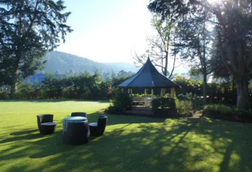 Fotos del hotel Ferncliff Bungalow:  15