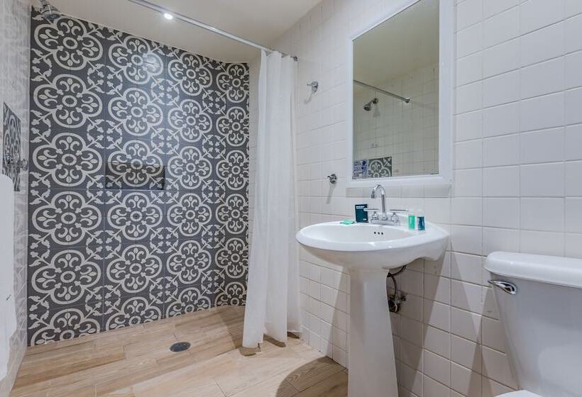 Fotos del hotel Ayenda Continental Mexicano:  24