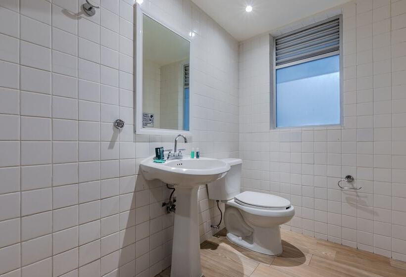 Fotos del hotel Ayenda Continental Mexicano:  7