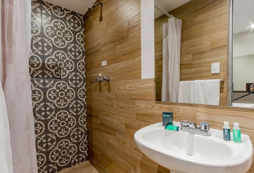 Fotos del hotel Ayenda Continental Mexicano:  6