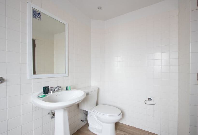 Fotos del hotel Ayenda Continental Mexicano:  5