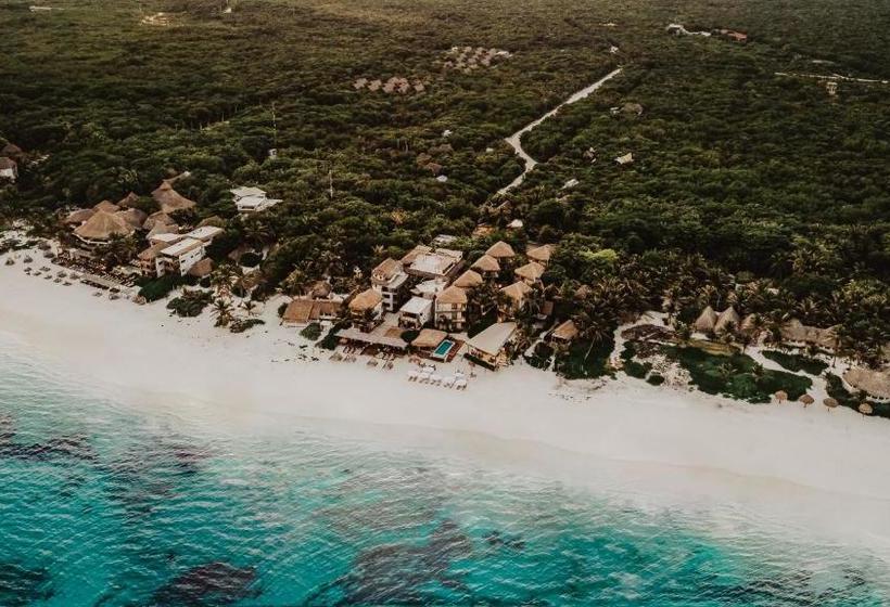 Fotos del hotel Akkuun Tulum - Adults Only:  4