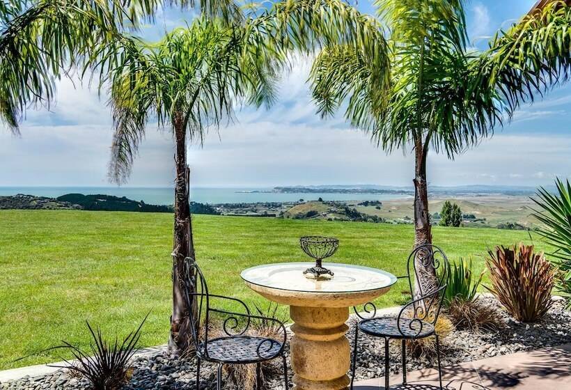 Fotos del hotel Napier B & B:  7