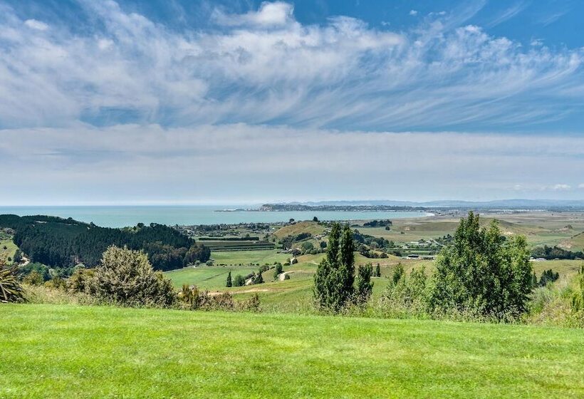 Fotos del hotel Napier B & B:  13