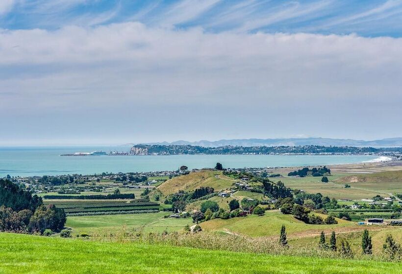 Fotos del hotel Napier B & B:  15