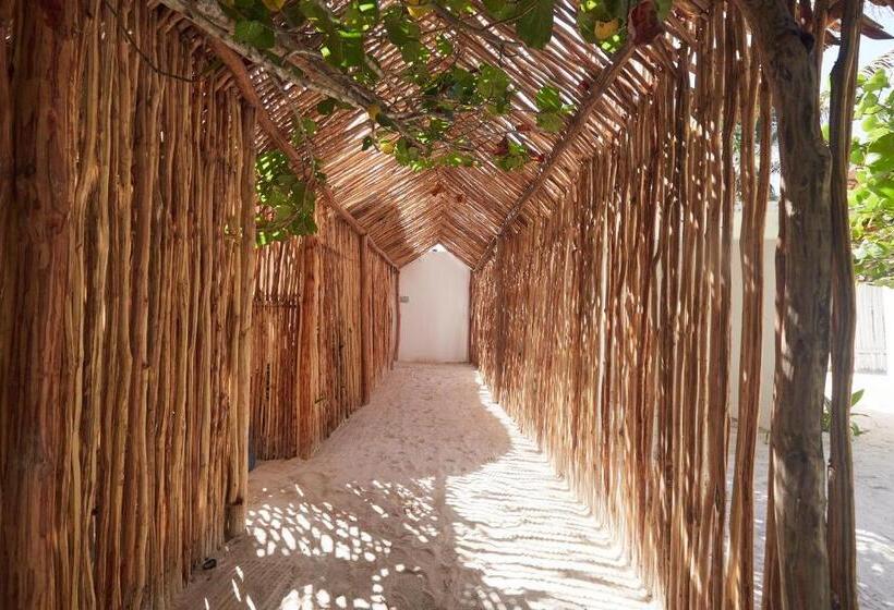 Fotos del hotel Roc Luxe Tulum:  18