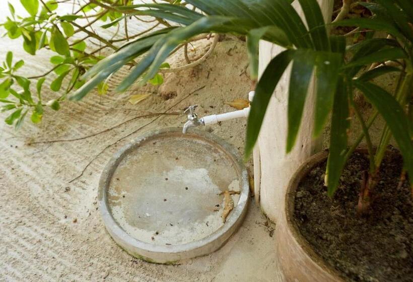 Fotos del hotel Roc Luxe Tulum:  10