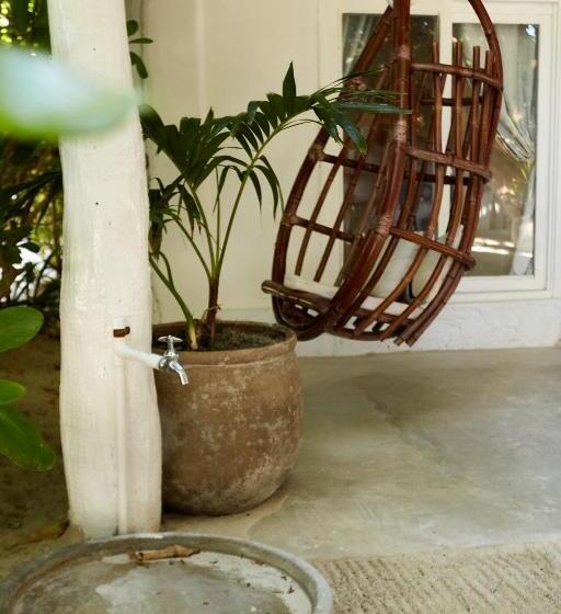 Fotos del hotel Roc Luxe Tulum:  16