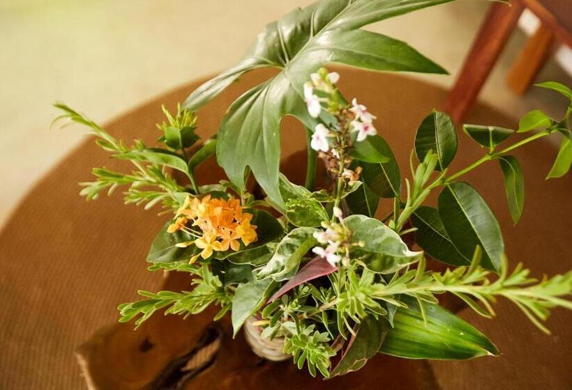 Fotos del hotel Roc Luxe Tulum:  8