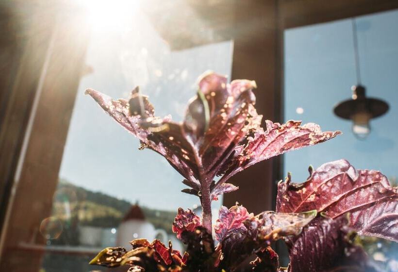 Fotos del hotel Yahu:  10