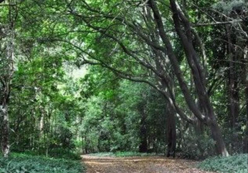 Fotos del hotel Meadowood Country House:  4