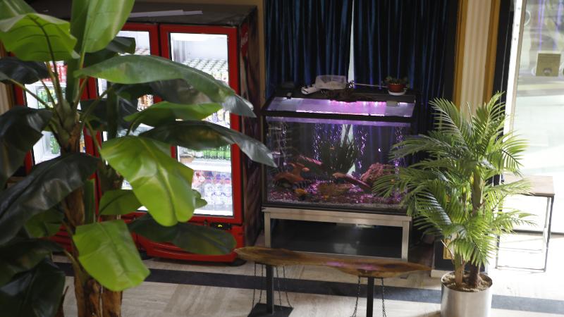 Fotos del hotel Silivri Safir  & Resort Beach And Restaurant:  8