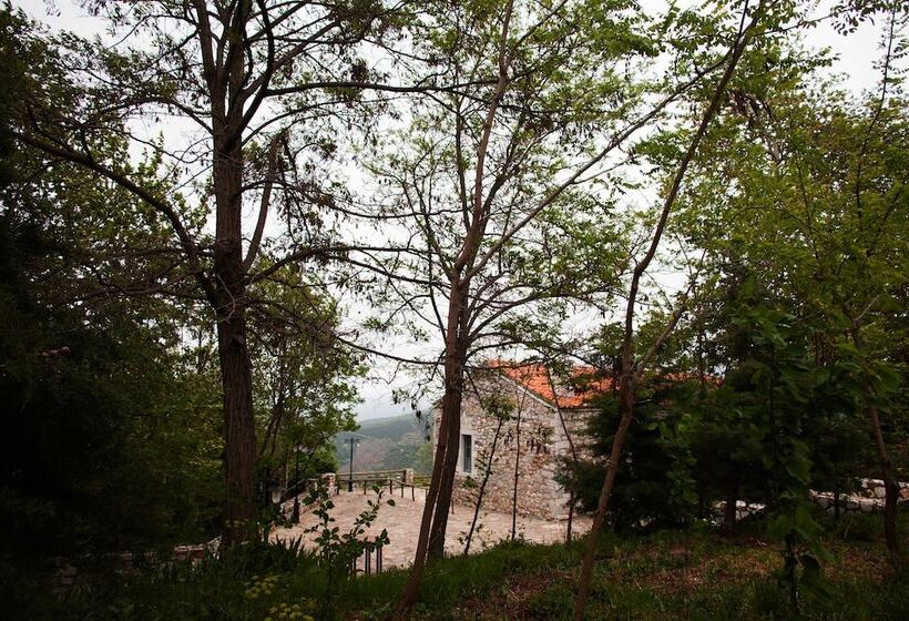 Fotos del hotel Boutique Hotel 1821 En Dolianis:  16