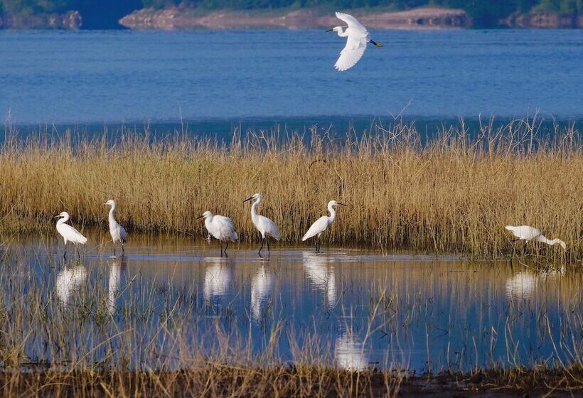 Atunas Holiday Country