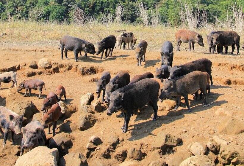 Fotos del hotel Atunas Holiday Country:  7