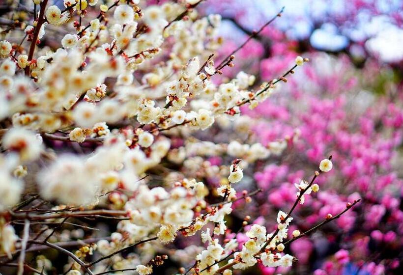 Fotos del hotel Comfort Inn Kyoto Shijokarasuma:  21