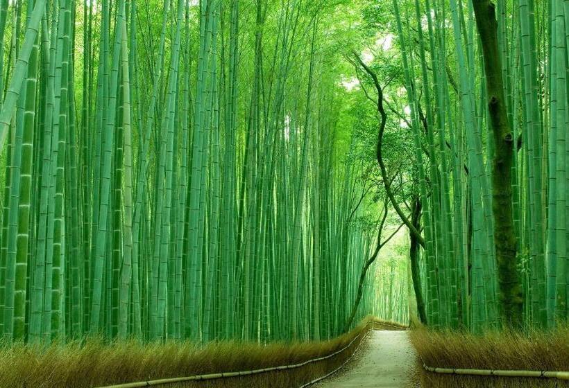 Fotos del hotel Comfort Inn Kyoto Shijokarasuma:  23