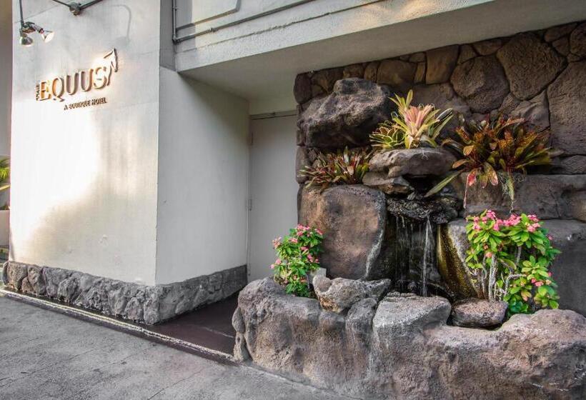 Fotos del hotel Paniolo At The Equus:  3