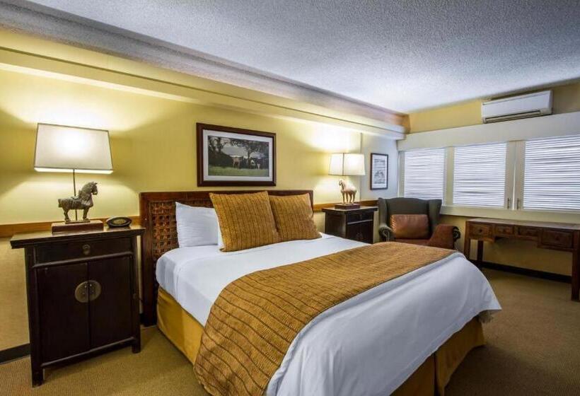 Fotos del hotel Paniolo At The Equus:  15