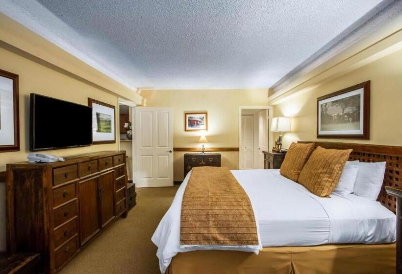 Paniolo At The Equus