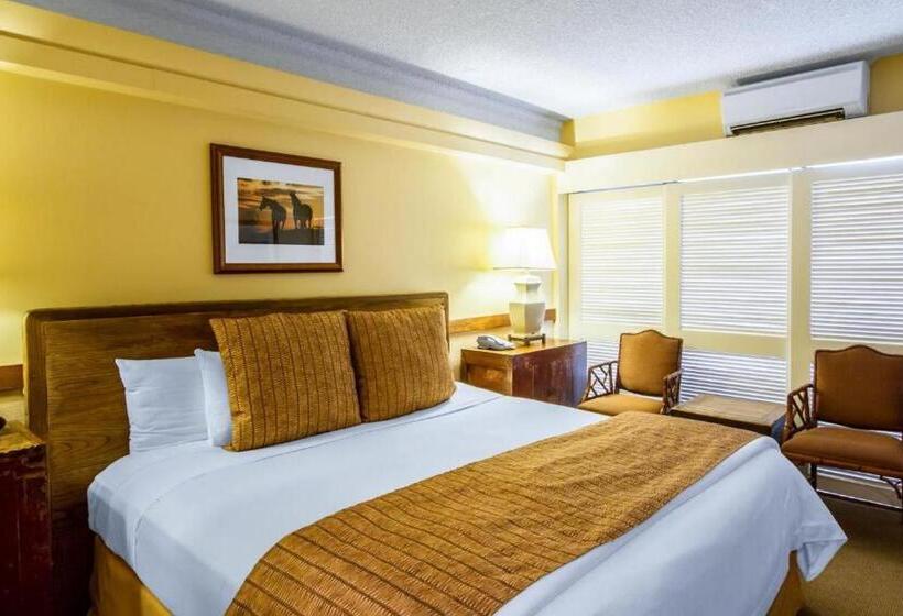 Fotos del hotel Paniolo At The Equus:  14