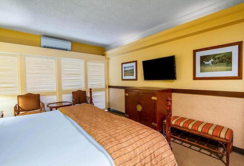 Fotos del hotel Paniolo At The Equus:  20