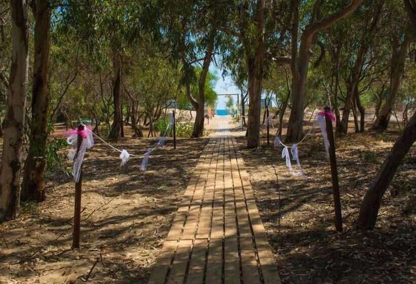 Fotos del hotel Costa Del Sole:  19